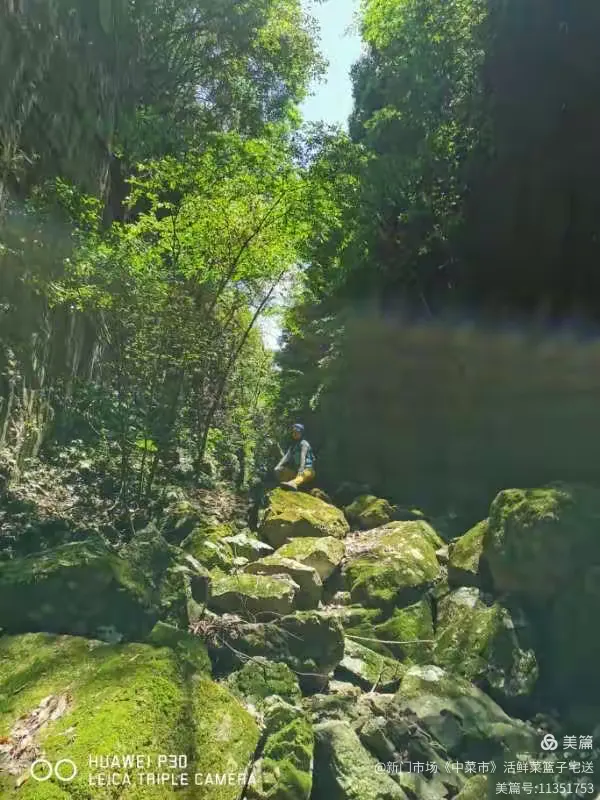 绝情谷探险